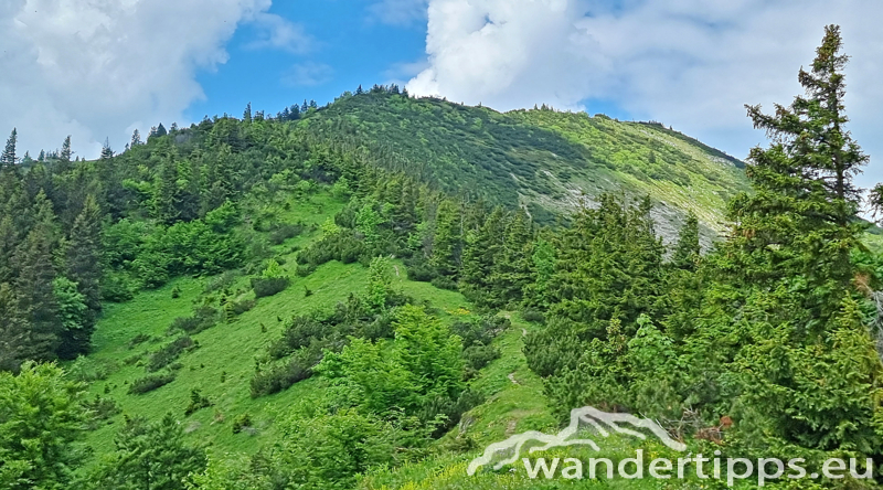 Kleiner Ötscher Abbildung 13