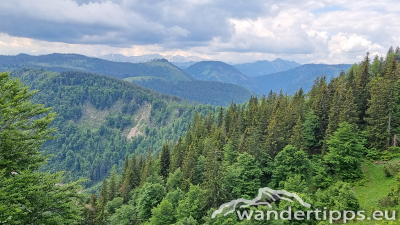 Kleiner Ötscher Abbildung 14