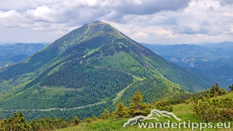 Kleiner Ötscher Abbildung 17