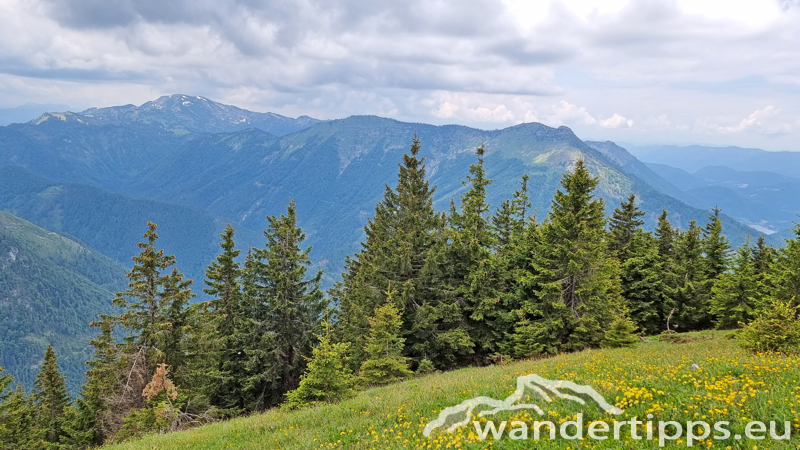 Kleiner Ötscher Abbildung 20