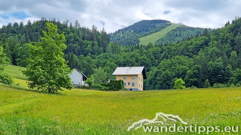 Kleiner Ötscher Abbildung 3