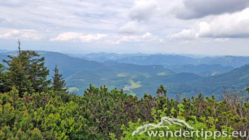 Kleiner Ötscher Abbildung 21