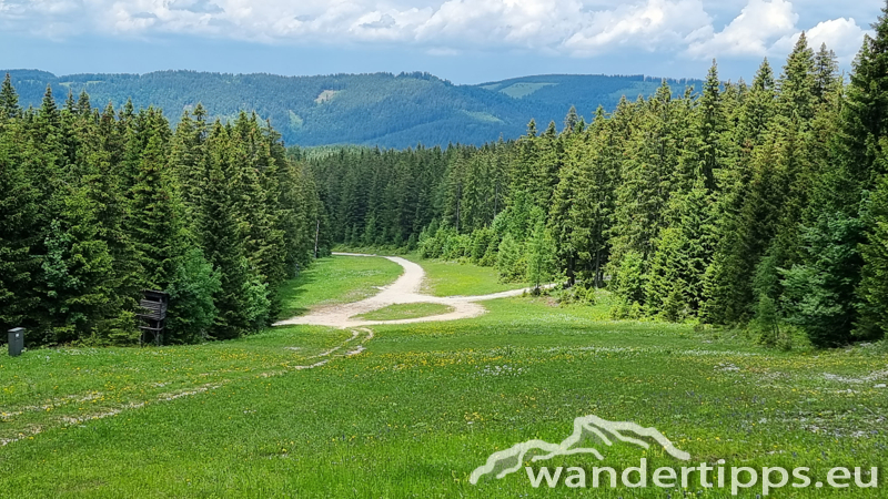 Kleiner Ötscher Abbildung 25