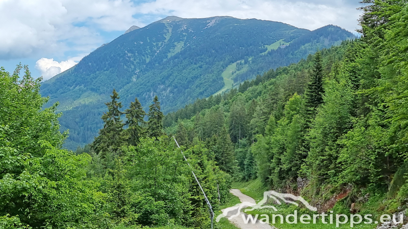 Kleiner Ötscher Abbildung 26