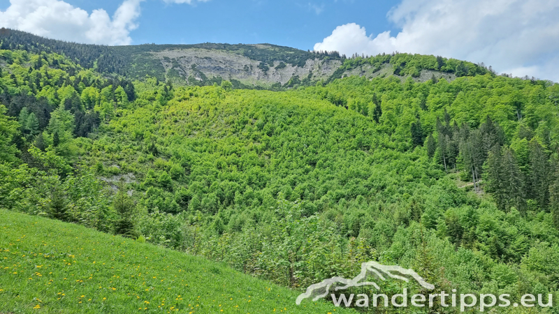 Kleiner Ötscher Abbildung 6