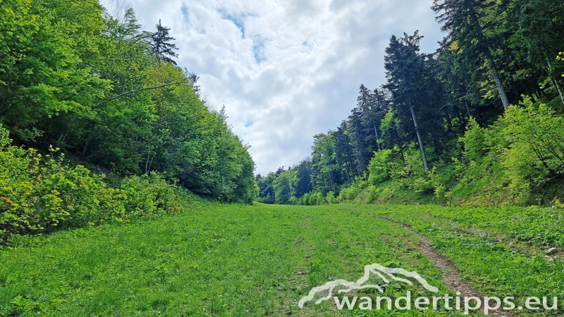 Kleiner Ötscher Abbildung 7