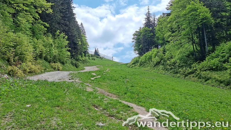 Kleiner Ötscher Abbildung 8