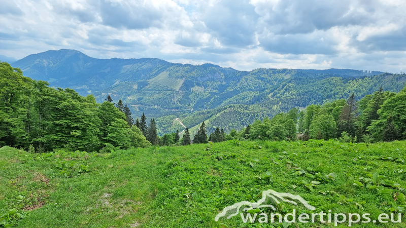 Kleiner Ötscher Abbildung 9