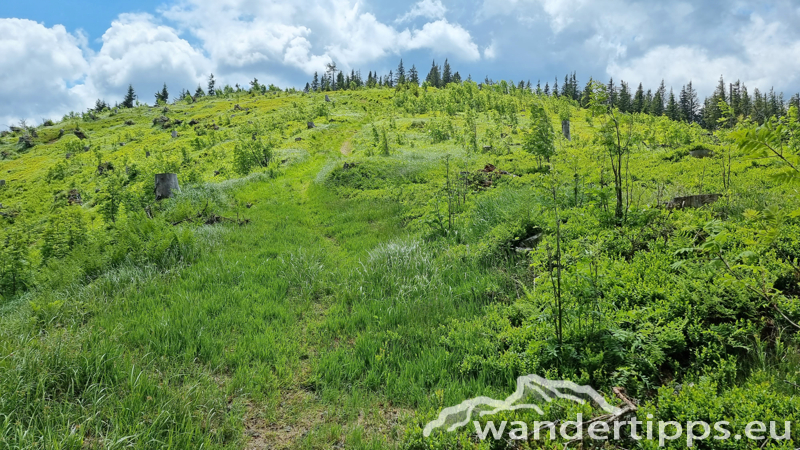 Veitschbachtörl Abbildung 11