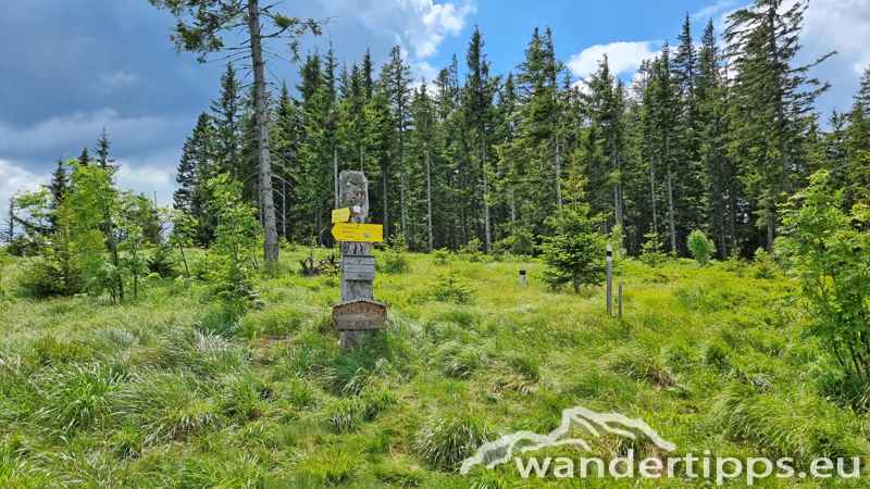 Veitschbachtörl Abbildung 12