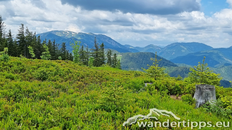 Veitschbachtörl Abbildung 14