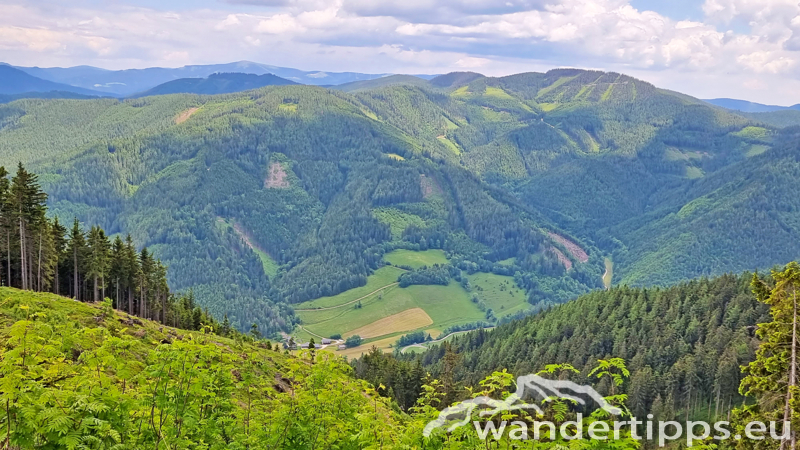 Veitschbachtörl Abbildung 15