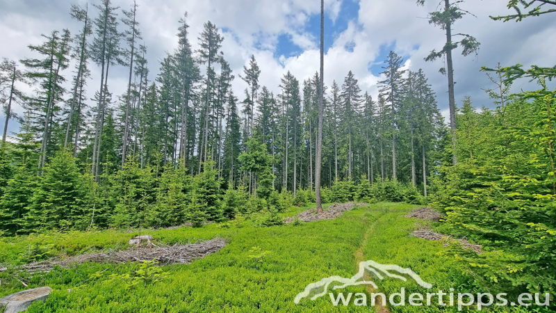 Veitschbachtörl Abbildung 16