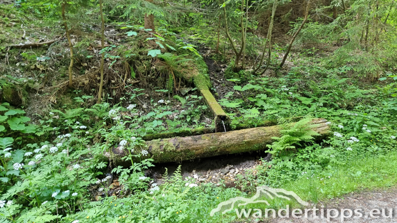 Veitschbachtörl Abbildung 7