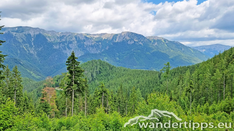 Veitschbachtörl Abbildung 8