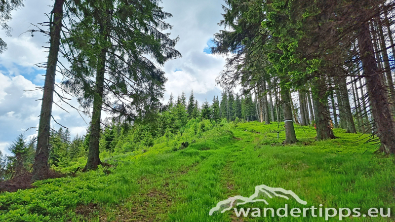 Veitschbachtörl Abbildung 10