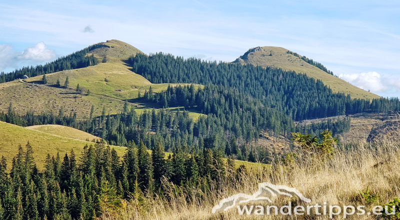 Großer Königskogel Abbildung 1