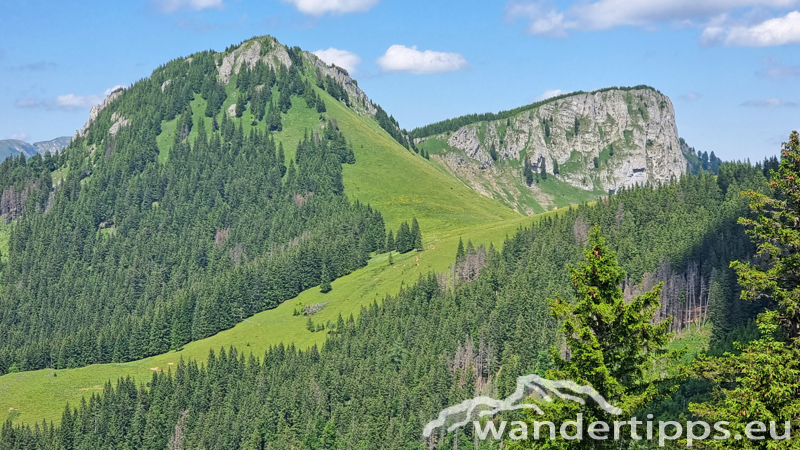 Großer Königskogel Abbildung 11