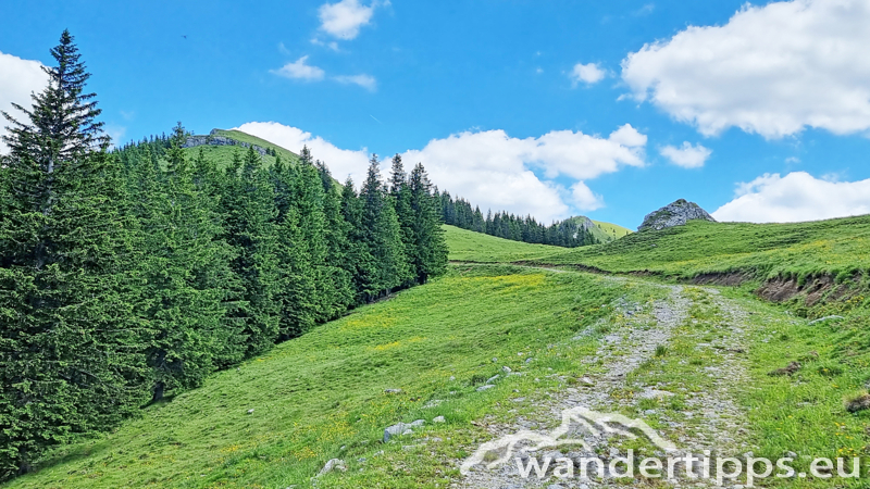 Großer Königskogel Abbildung 12