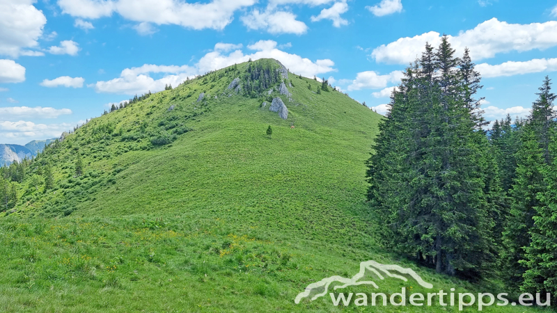 Großer Königskogel Abbildung 13