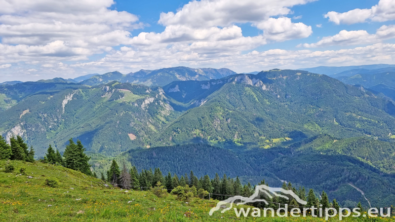 Großer Königskogel Abbildung 15