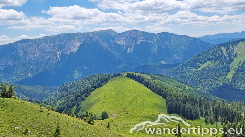 Großer Königskogel Abbildung 17