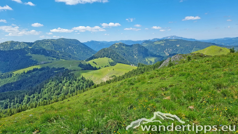Großer Königskogel Abbildung 18