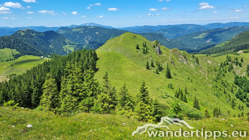 Großer Königskogel Abbildung 19