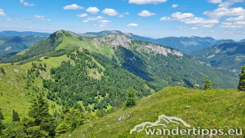 Großer Königskogel Abbildung 20