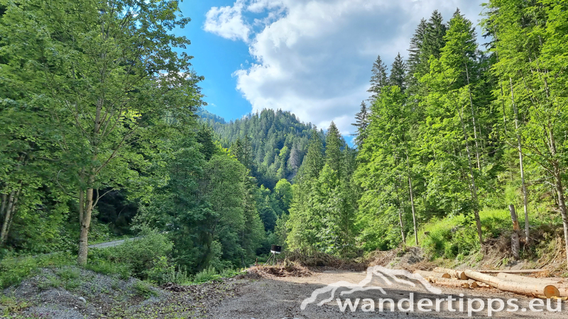 Großer Königskogel Abbildung 3