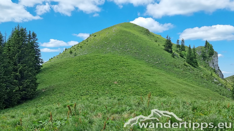 Großer Königskogel Abbildung 21