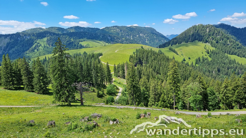 Großer Königskogel Abbildung 23