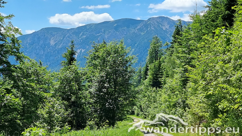 Großer Königskogel Abbildung 24