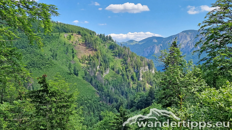 Großer Königskogel Abbildung 25