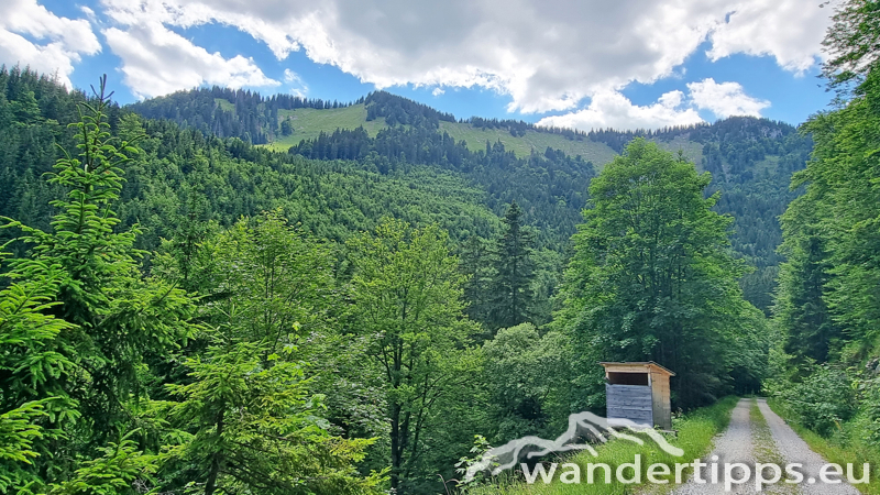 Großer Königskogel Abbildung 26