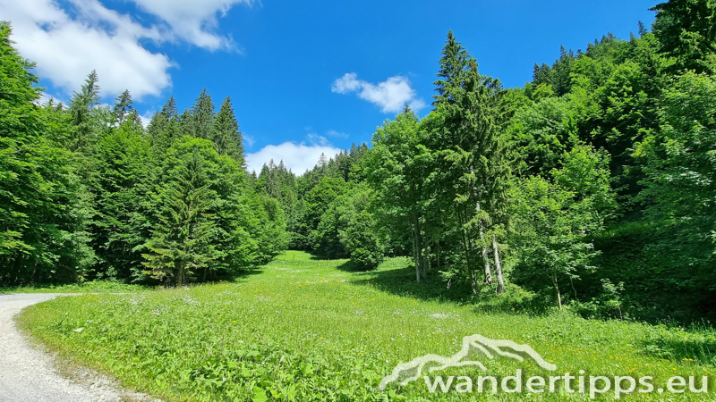 Großer Königskogel Abbildung 4