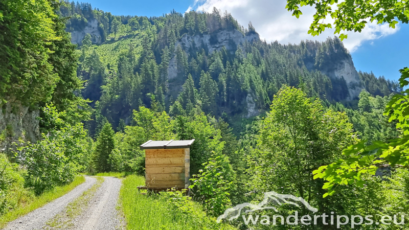 Großer Königskogel Abbildung 5