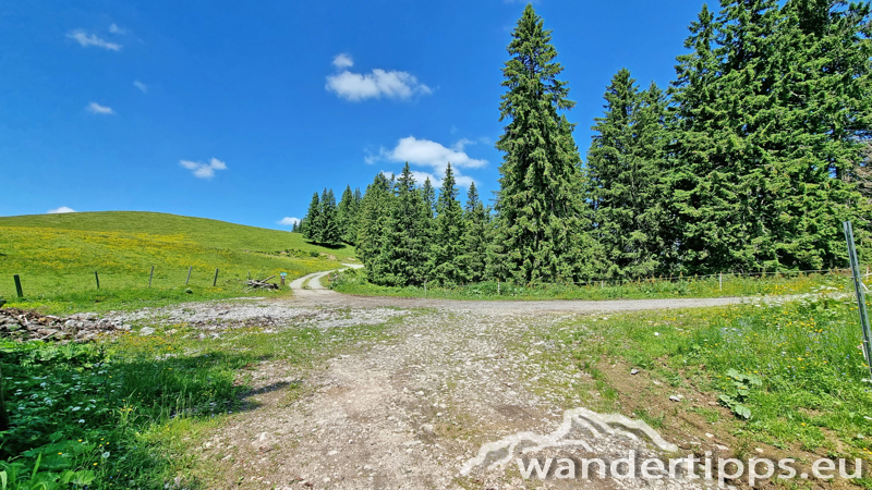 Großer Königskogel Abbildung 8