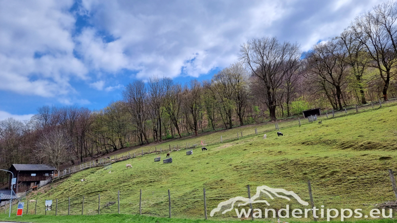 Rudolfshöhe Abbildung 2