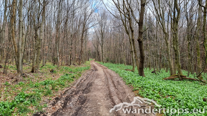 Rudolfshöhe Abbildung 17