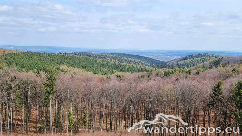 Steinkogel/Rosalia Abbildung 11