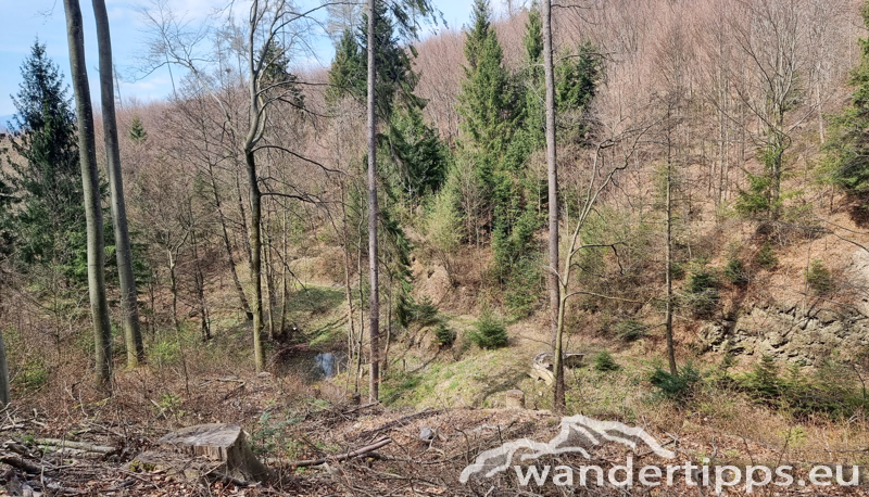 Steinkogel/Rosalia Abbildung 13