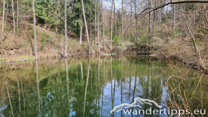 Steinkogel/Rosalia Abbildung 14