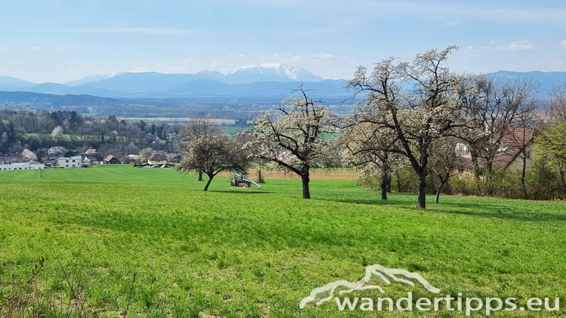Steinkogel/Rosalia Abbildung 15