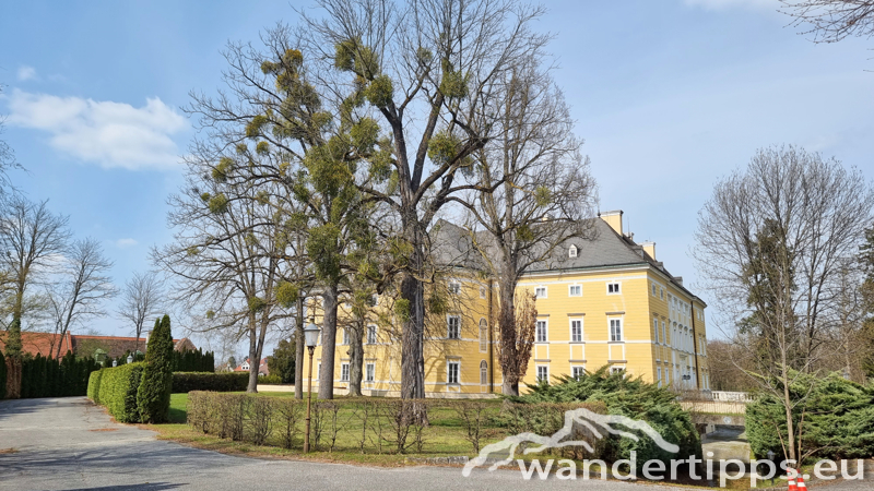 Steinkogel/Rosalia Abbildung 16