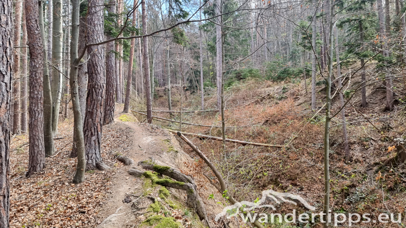 Steinkogel/Rosalia Abbildung 4