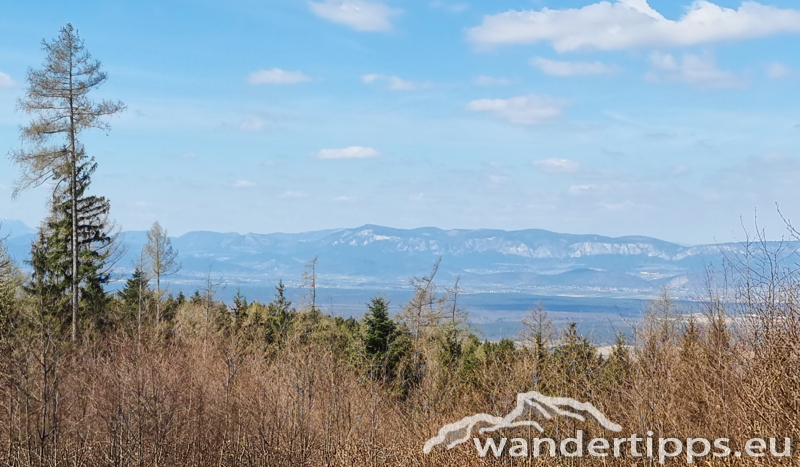 Steinkogel/Rosalia Abbildung 6