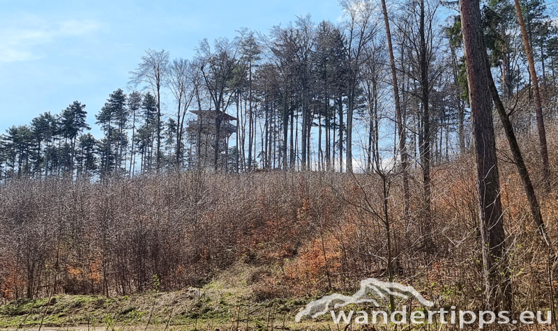 Steinkogel/Rosalia Abbildung 7