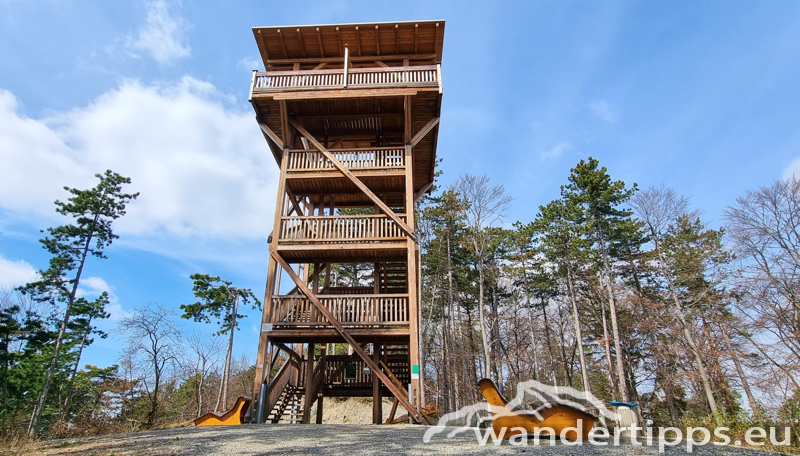 Steinkogel/Rosalia Abbildung 8