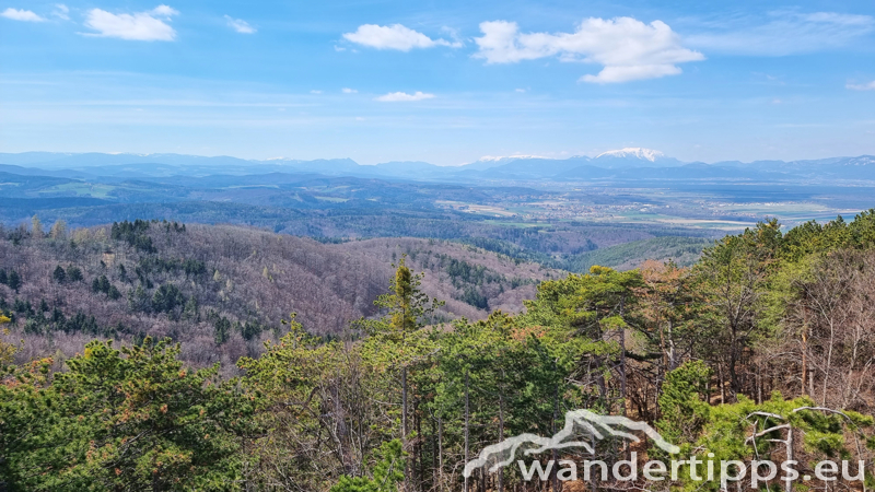 Steinkogel/Rosalia Abbildung 9